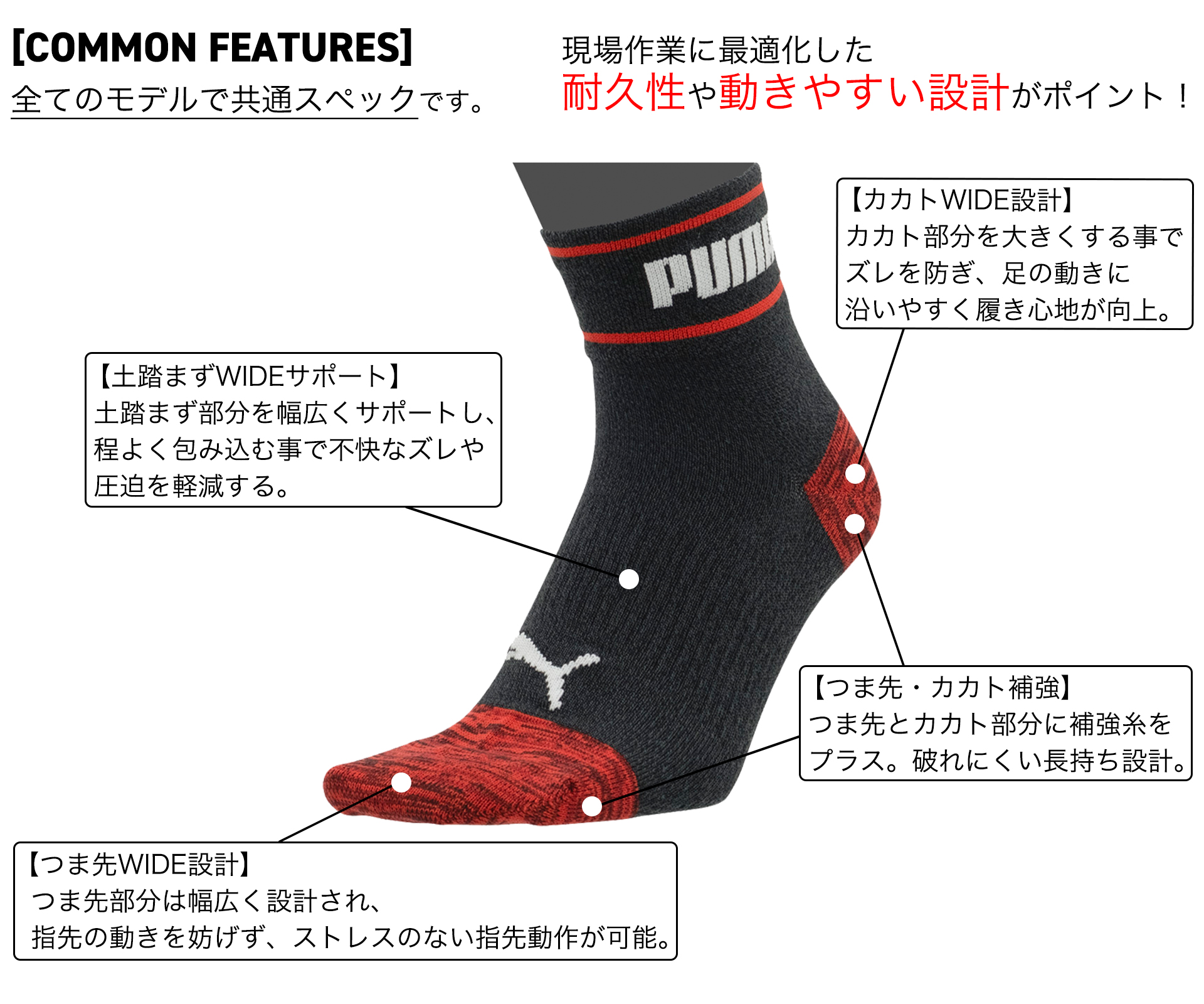 機能性の紹介
