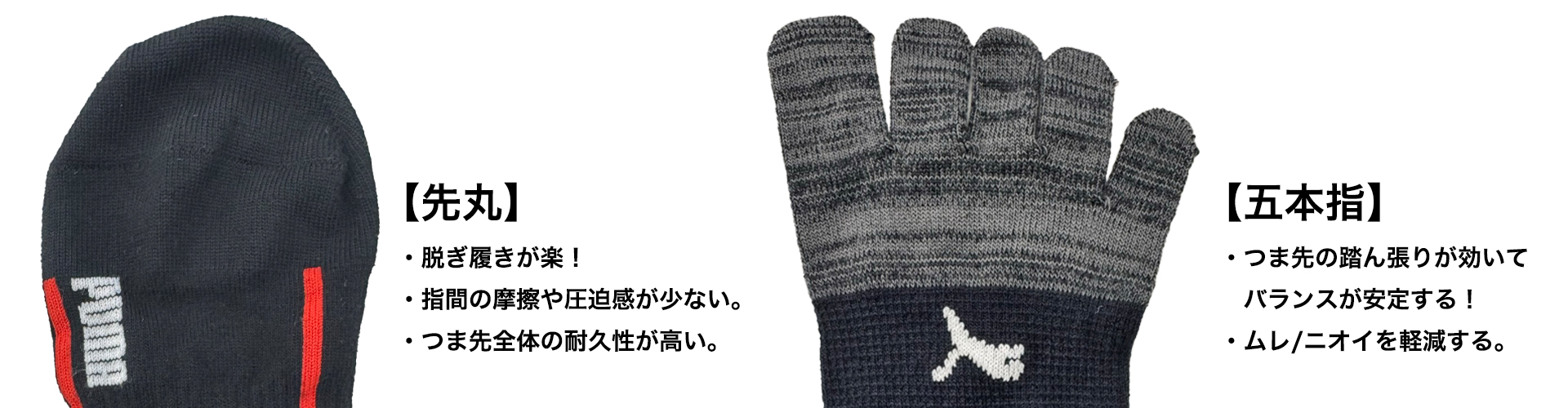 先丸・五本指の違い