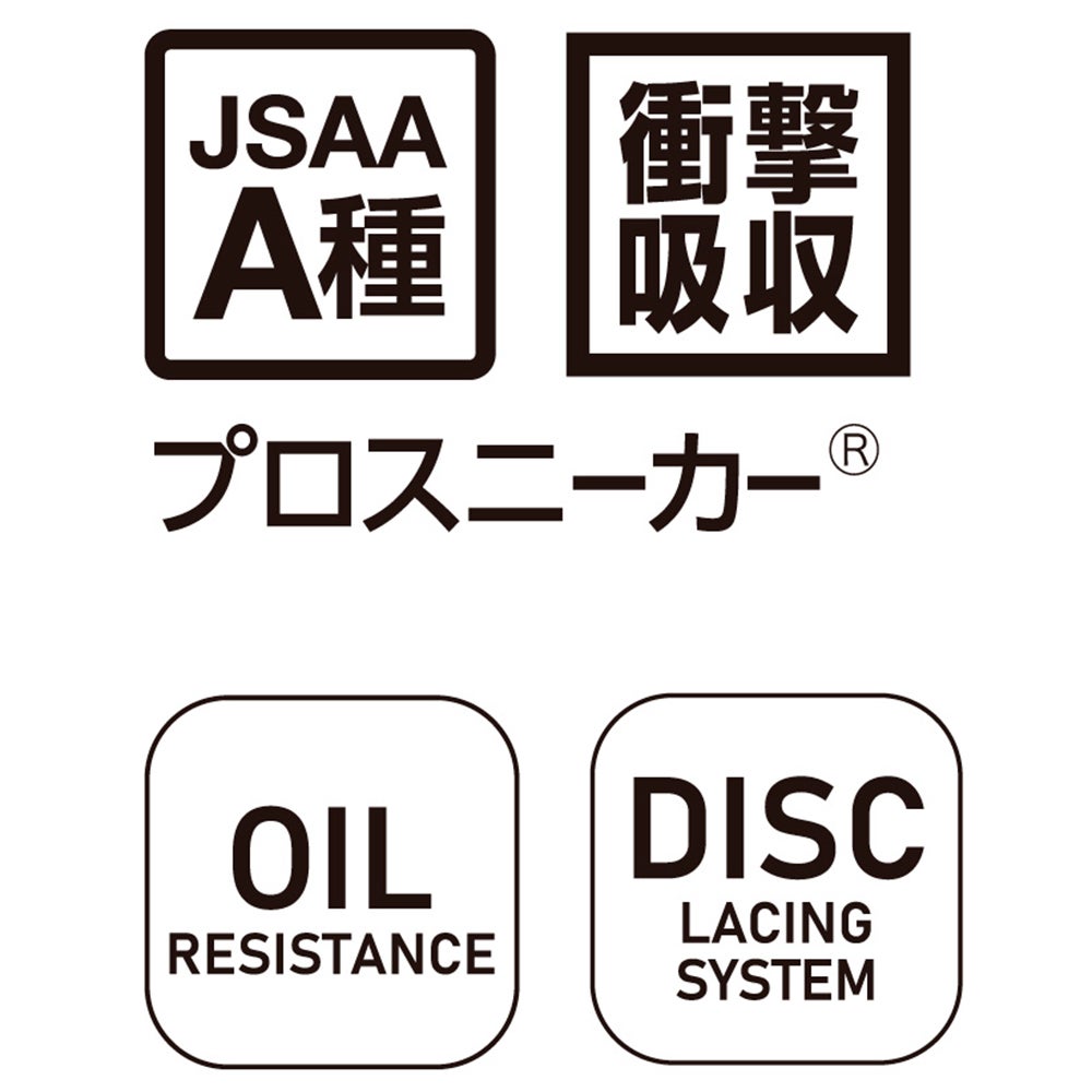 JSAA A種取得