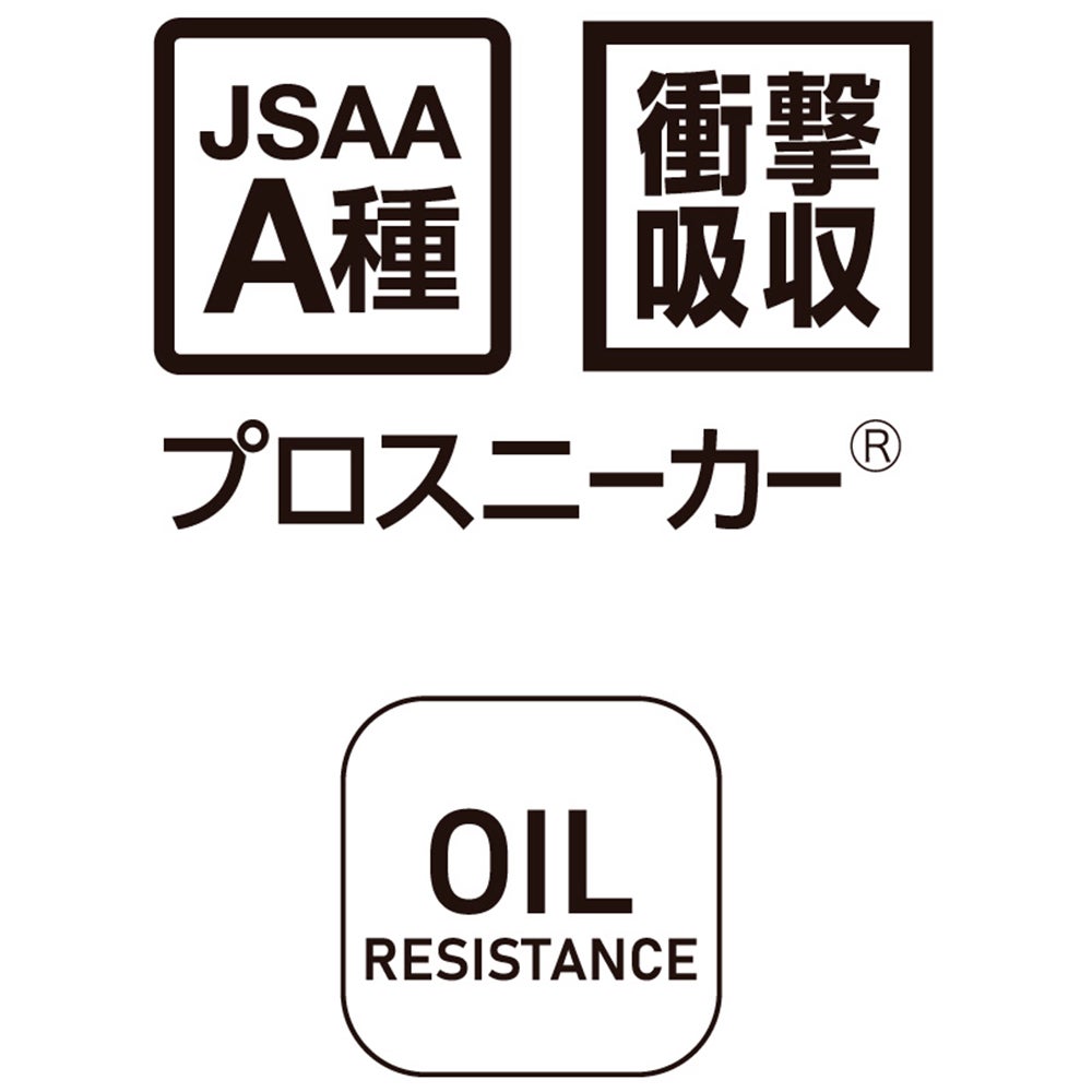 JSAA A種取得