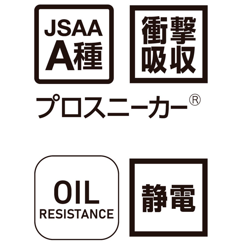 JSAA A種取得