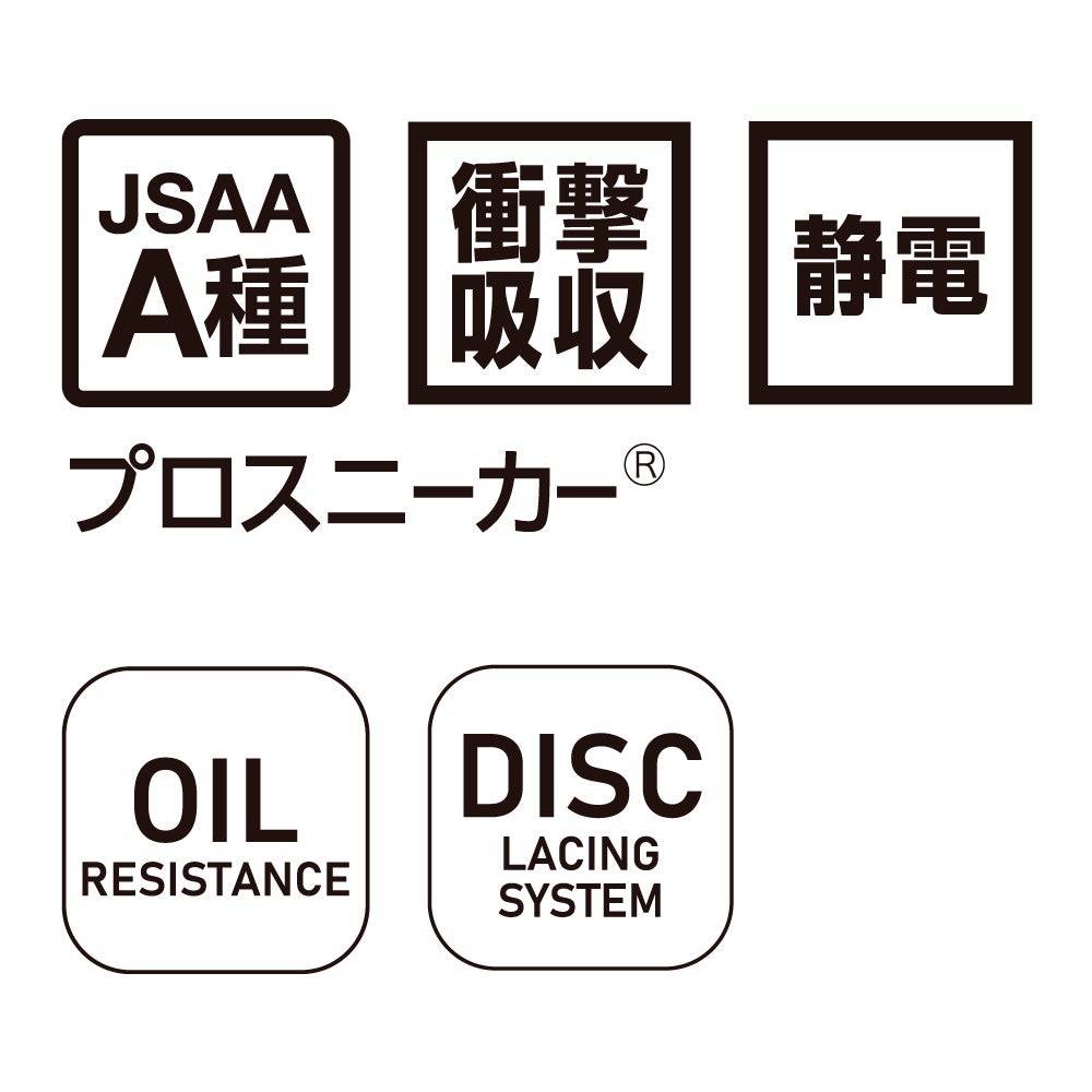 JSAA A種取得