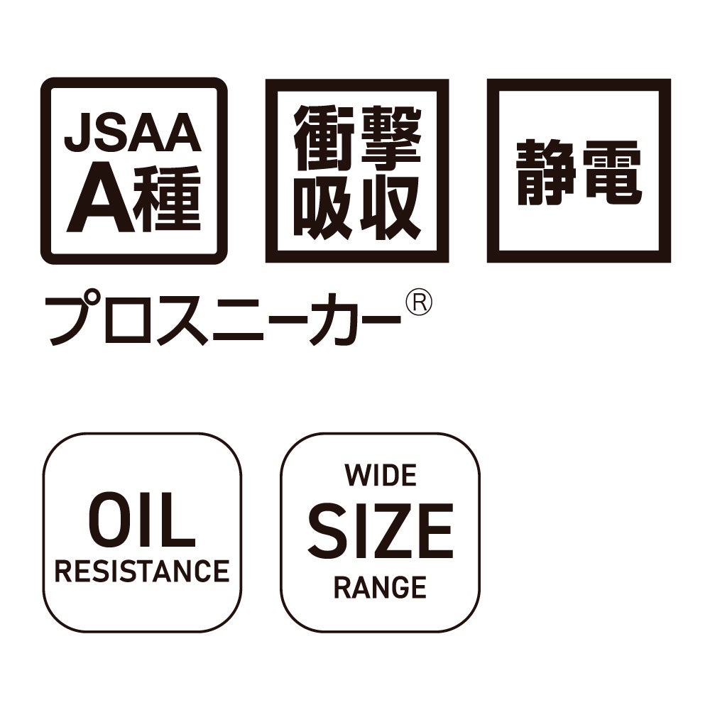 JSAA A種取得