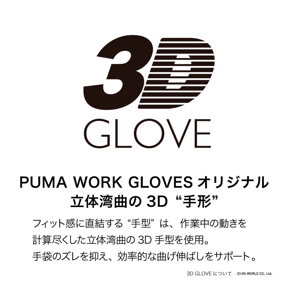 3D GLOVE